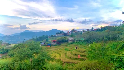 Pea homestay – Photos 3